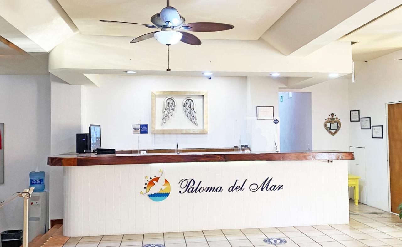 Paloma Del Mar (Adults Only) 호텔 푸에르토 발라타 외부 사진